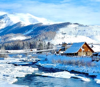 Hemu in Feburary.jpg